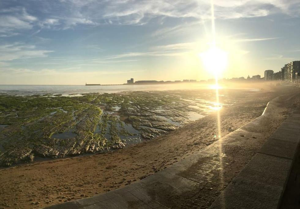 Sunny Studio Terrasse, Hypercentre La Plage A 2 Pas ! เลส์ซาบล์-โดล็อนน์ ภายนอก รูปภาพ